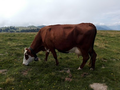 Crédit Mutuel, Banque au Châtelard