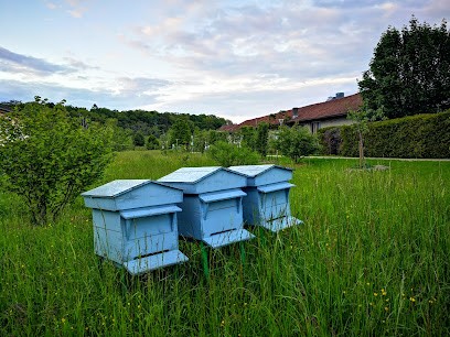 Crédit Mutuel, Banque à Mandeure