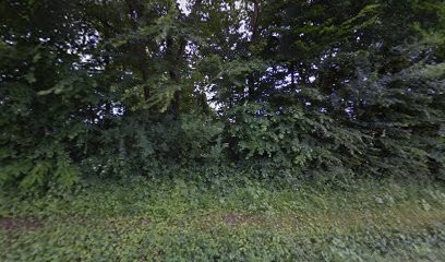 Laurent Charles, Banque à Marboz