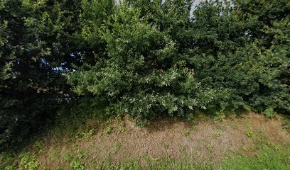 Crédit Maritime Grand Ouest, Banque à Saint-Martin-des-Champs